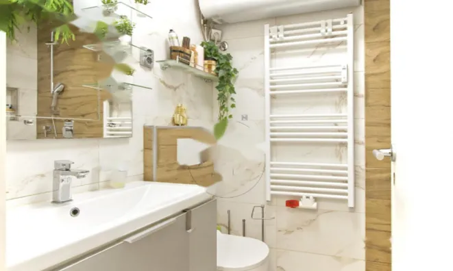 Недвижимость Двухкомнатная квартира Трново: 22