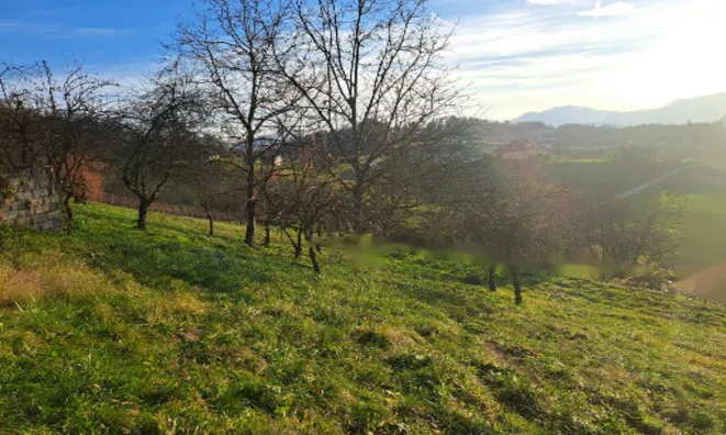 Недвижимость Усадьба, ферма Крайние холмы: 10