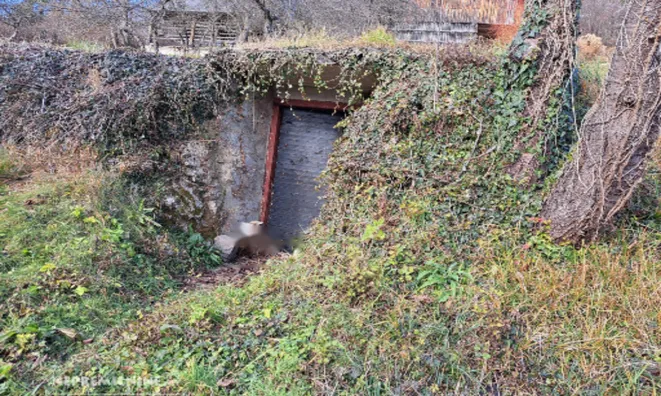 Недвижимость Усадьба, ферма Крайние холмы: 11