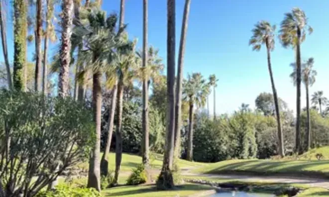 Недвижимость Villa Cannes Californie: 2