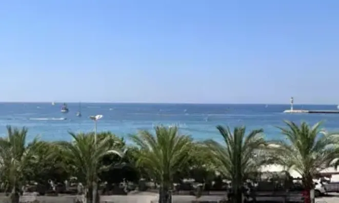 Недвижимость Villa Cannes Centre-Ville: 6