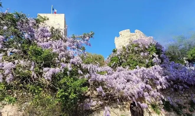 Недвижимость Villa Suquet Cannes: 10