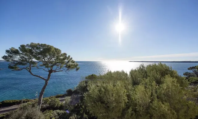 Недвижимость Villa Cannes: 3