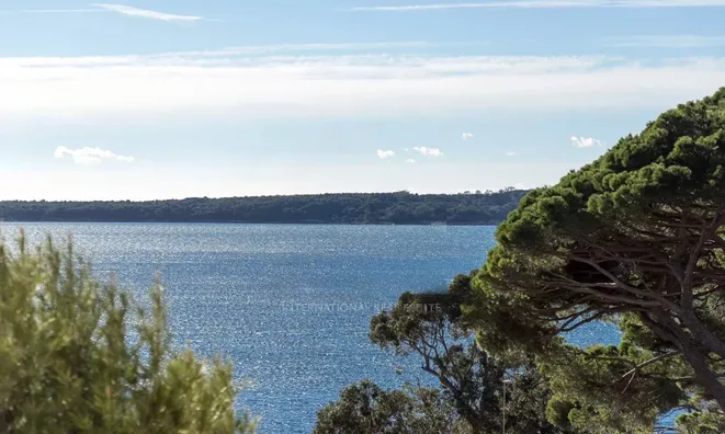 Недвижимость Villa Cannes: 5