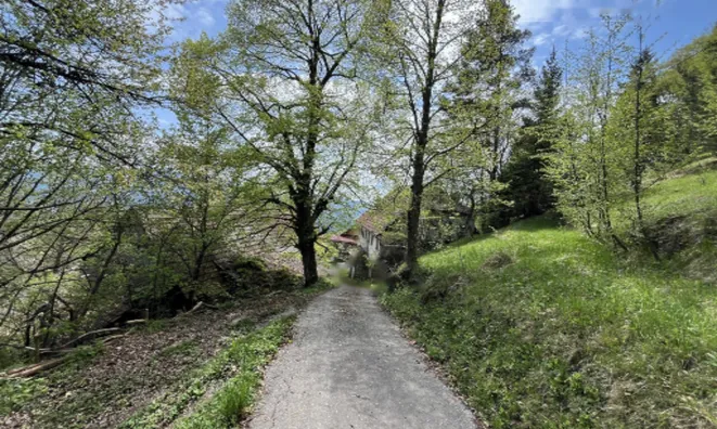 Недвижимость Дом на Святой Планине: 2