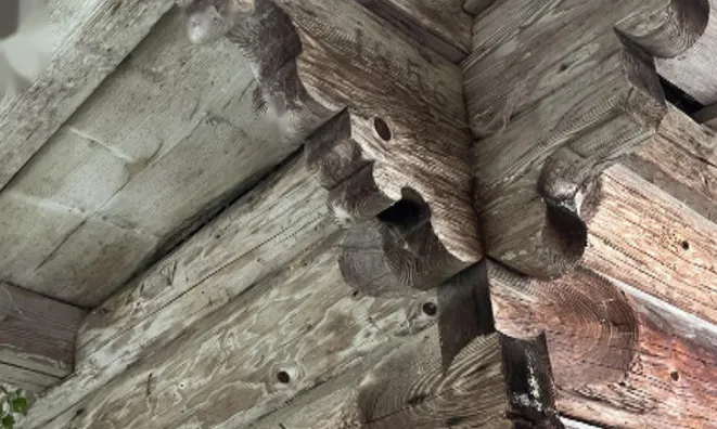 Недвижимость Дом на Святой Планине: 5