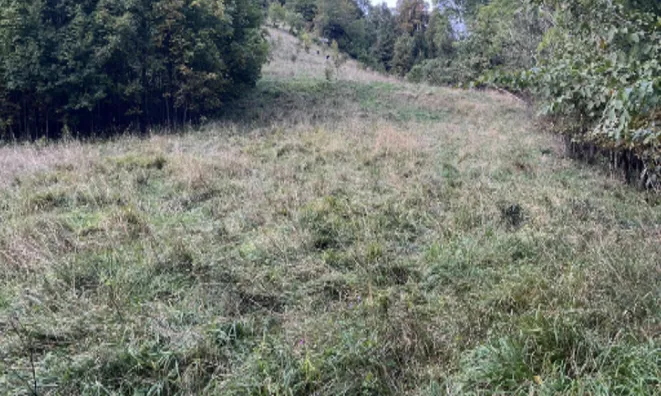 Недвижимость Дом на Святой Планине: 7