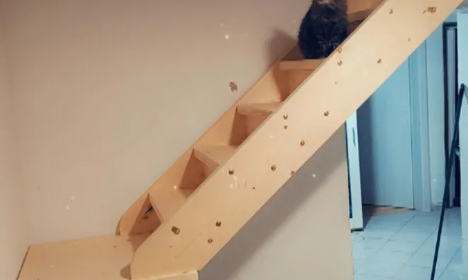 Недвижимость Дом, Великий Церовец: 4