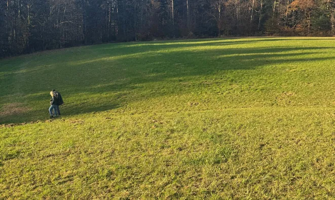 Недвижимость Усадьба, Кметияново Странска Вас, окраина Любляны: 2