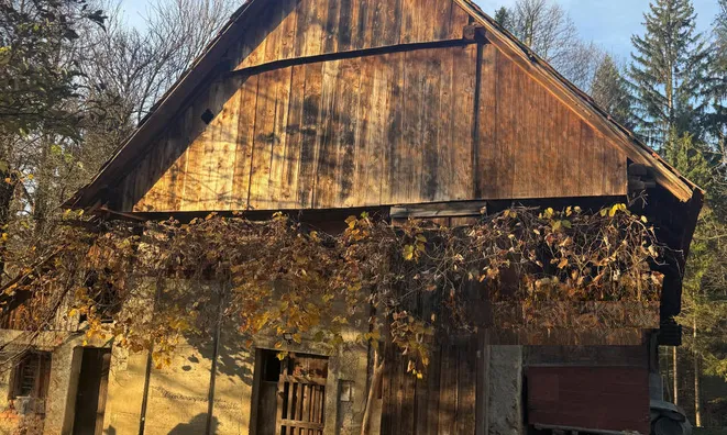 Недвижимость Усадьба, Кметияново Странска Вас, окраина Любляны: 4