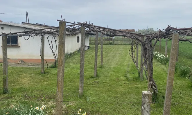 Недвижимость Усадьба 'Кметияново Цвен': 8