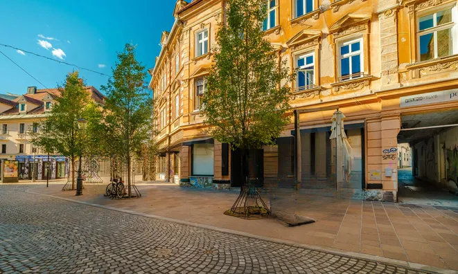 Недвижимость Коммерческое помещение в центре: 14