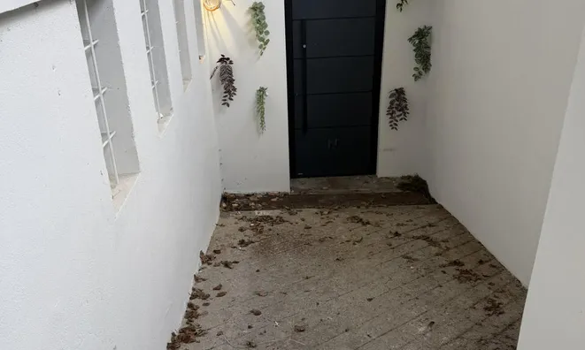 Недвижимость Офис в центре Любляны: 7