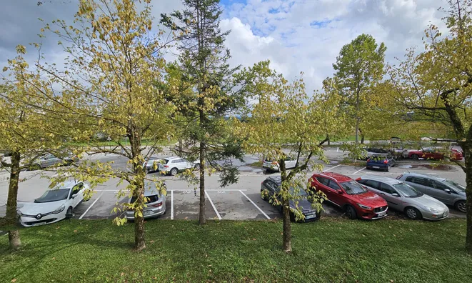 Недвижимость Офисное помещение Шишка: 7