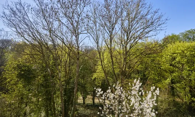 Недвижимость Townhouse 5 bedrooms for sale in Luxembourg-Centre ville: 7