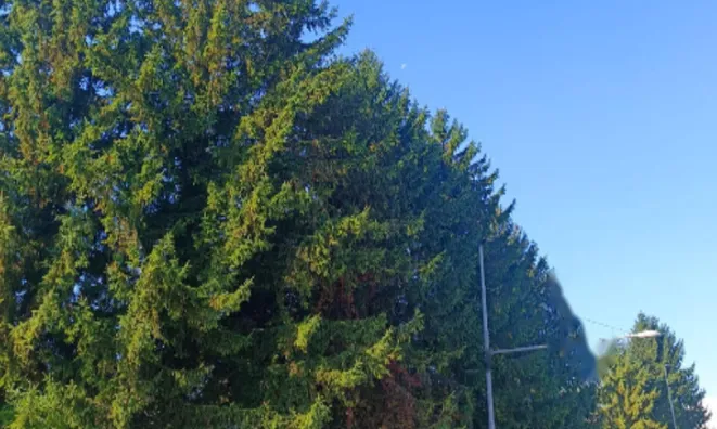 Недвижимость Дом, Центр Любляны: 17