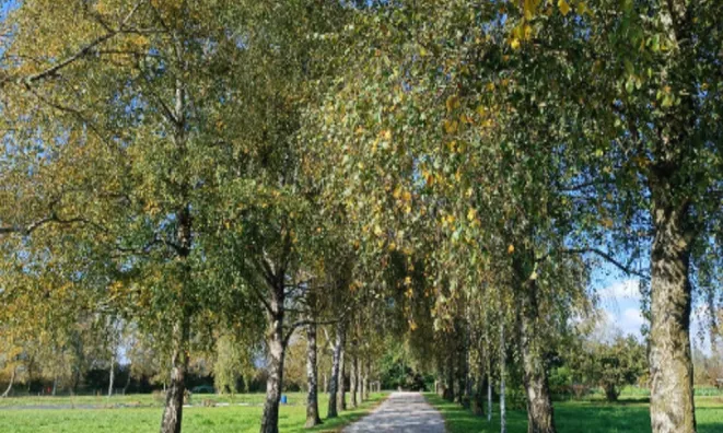 Недвижимость Дом, Центр Любляны: 18