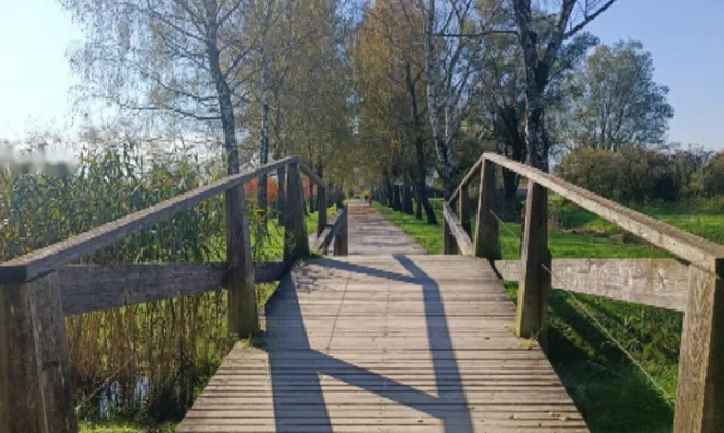 Недвижимость Дом, Центр Любляны: 19