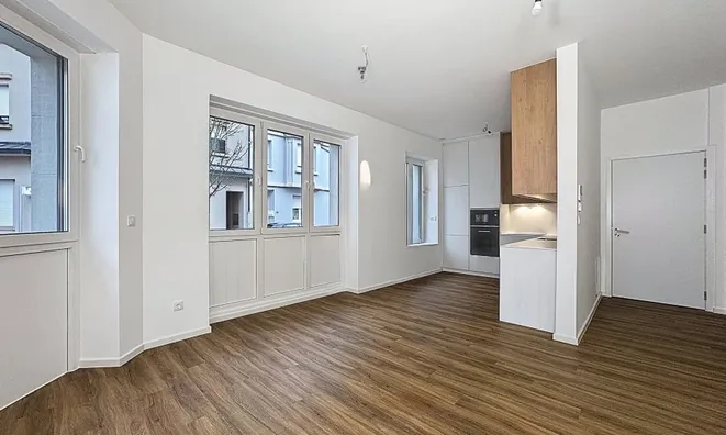 Недвижимость Apartment 1 bedroom for sale in Esch-sur-Alzette: 4
