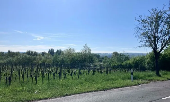 Недвижимость Apartment 2 bedrooms for sale in Stadtbredimus: 3