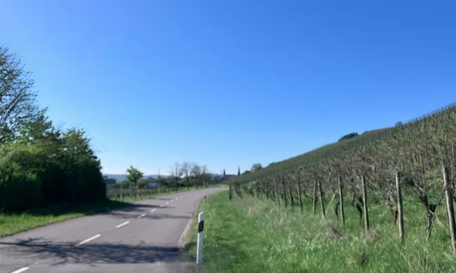 Недвижимость Apartment 2 bedrooms for sale in Stadtbredimus: 4