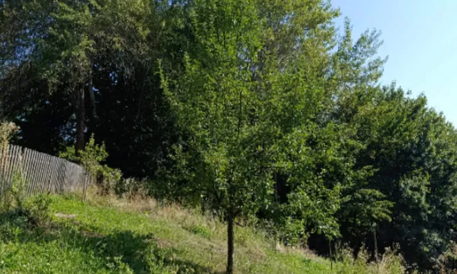 Недвижимость Дом, Новая Гора, 18Б: 2