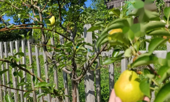 Недвижимость Дом, Новая Гора, 18Б: 6