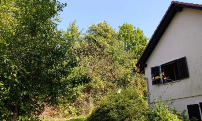 Недвижимость Дом, Новая Гора, 18Б: 9