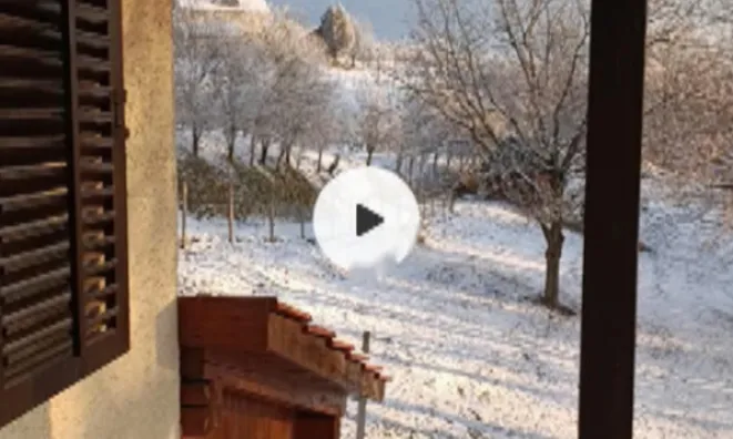 Недвижимость Дом, Новая Гора, 18Б: 11