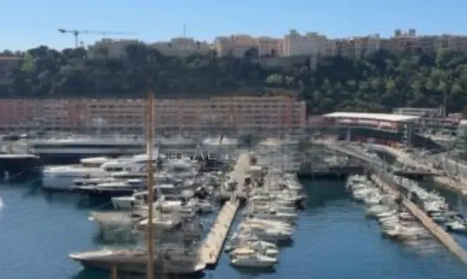 Недвижимость Apartment Monaco, Port: 11