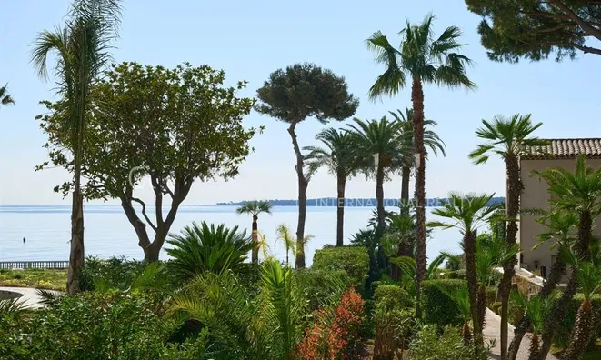 Недвижимость Villa Pointe Croisette: 11