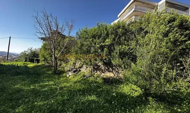 Недвижимость Villa Croix des Gardes: 13