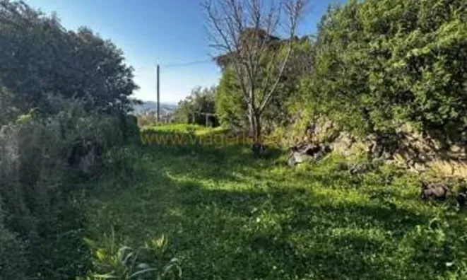 Недвижимость Villa Croix des Gardes: 14