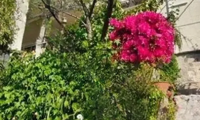 Недвижимость Villa Croix des Gardes: 20