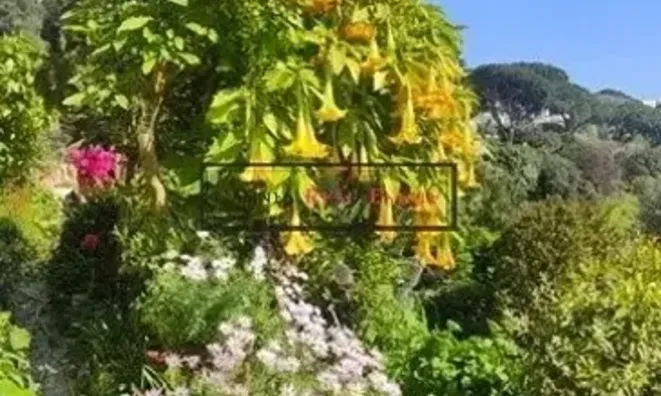 Недвижимость Villa Croix des Gardes: 21