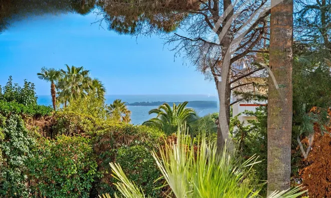Недвижимость Villa Cannes: 33