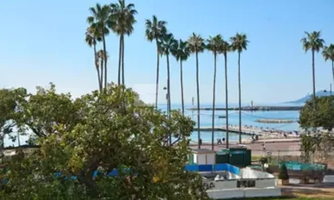 Недвижимость Residence Cannes Centreville: 9