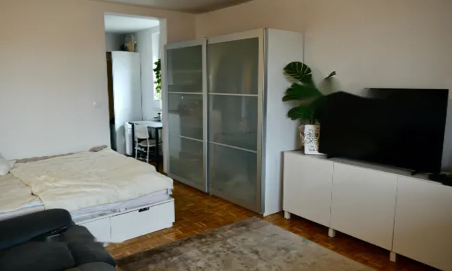 Недвижимость Квартира-студия на Ново Дравельска Гмайна: 3