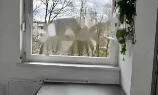 Недвижимость Квартира-студия на Ново Дравельска Гмайна: 5