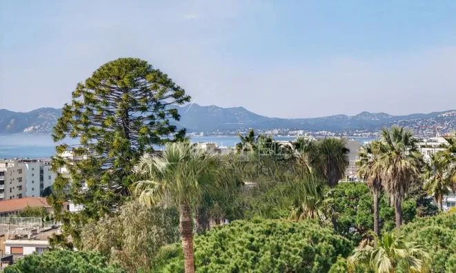 Недвижимость Villa Pointe Croisette: 14
