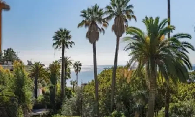 Недвижимость Villa Cannes: 3