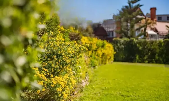 Недвижимость Villa Cannes: 22