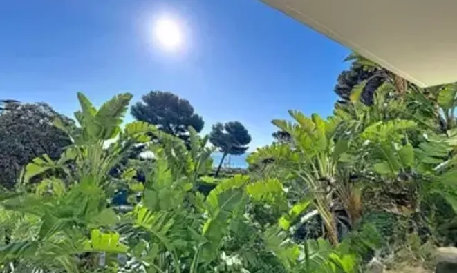 Недвижимость Villa Cannes: 2