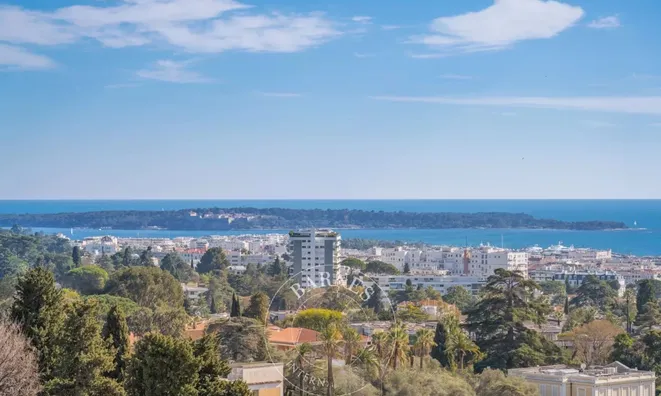 Недвижимость Villa Cannes Carnot: 8