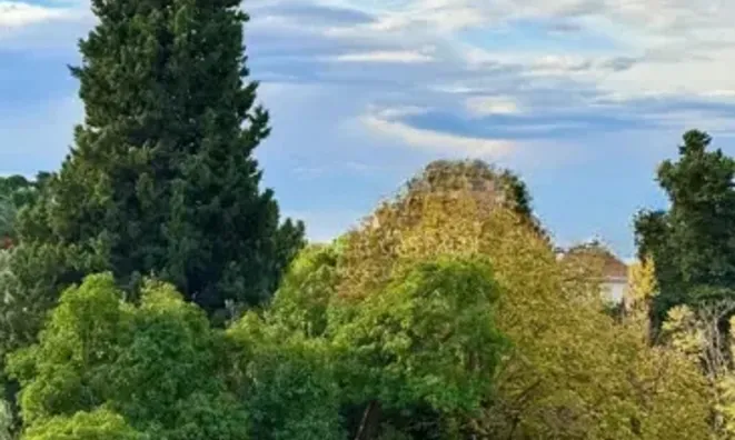 Недвижимость Villa Californie: 15