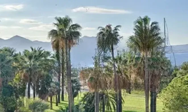 Недвижимость Villa Pointe Croisette: 21