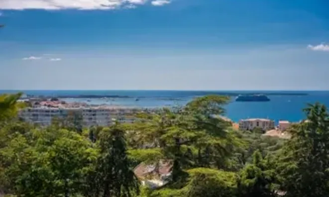 Недвижимость Villa Cannes: 35
