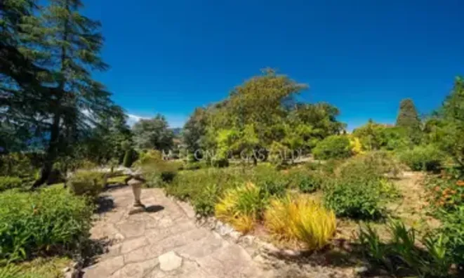 Недвижимость Villa Cannes: 36
