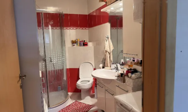 Недвижимость 2-комнатная квартира Изола: 25