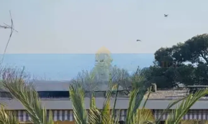 Недвижимость Villa Cannes: 3
